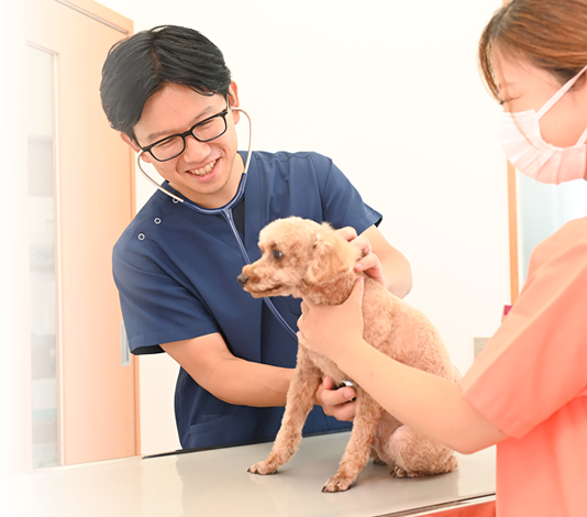 飼い主様との対話やインフォームドコンセントを大切に